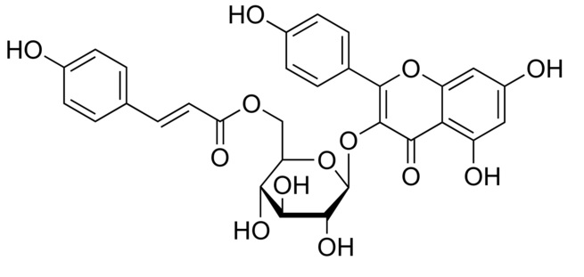 Tilirozyd to glikozylowany flawonoid o potencjalnie szerokim spektrum biologicznego działania począwszy od antyoksydacyjnego, przeciwzapalnego po hipoglikemiczne i hipolipidemiczne. 